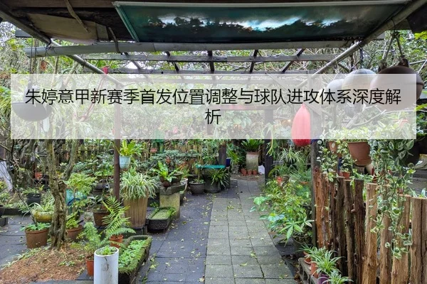 朱婷意甲新赛季首发位置调整与球队进攻体系深度解析