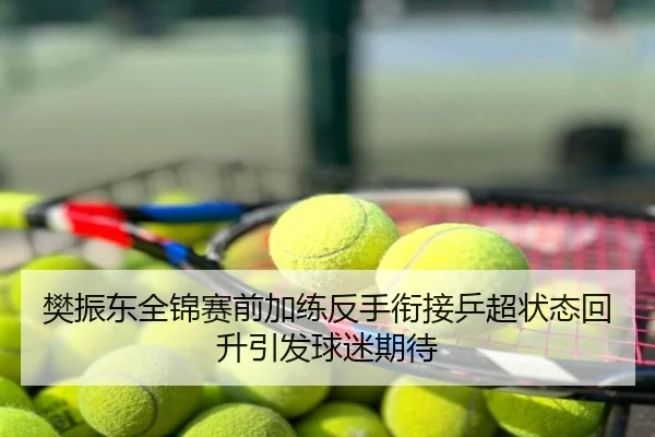 樊振东全锦赛前加练反手衔接乒超状态回升引发球迷期待